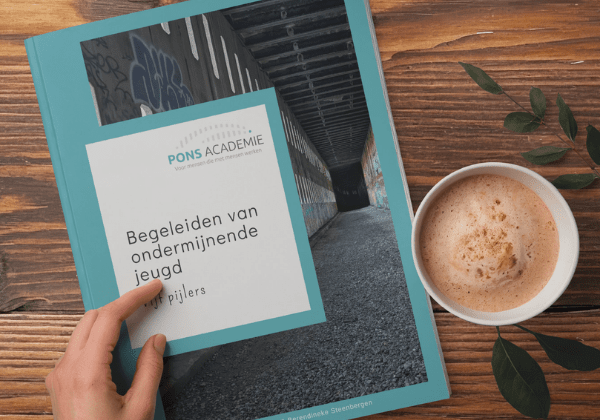 Begeleiden van ondermijnende jeugd - E-book Pons Academie