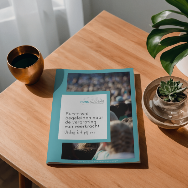Succesvol begeleiden naar de vergroting van veerkracht - E-book Pons Academie